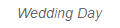 Wedding Day