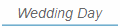 Wedding Day